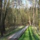 <p>Lanškrounské rybníky, běžecké okruhy - cesta přes mokřad</p>